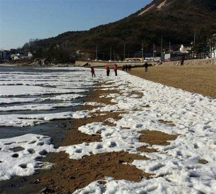 동막해수욕장, 바다의 노래가 들리는 곳