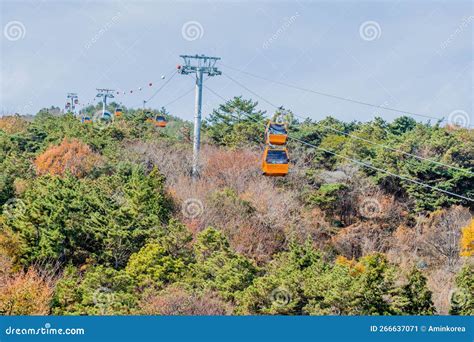 하동케이블카, 하늘을 나는 차가운 커피 한 잔의 여유